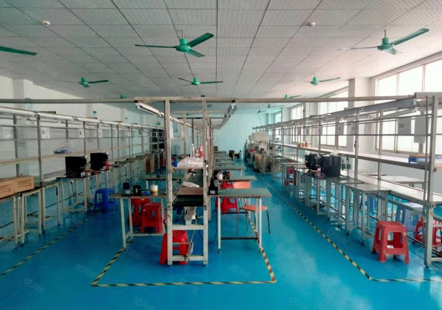 塘厦镇田心现成装修楼上800平方