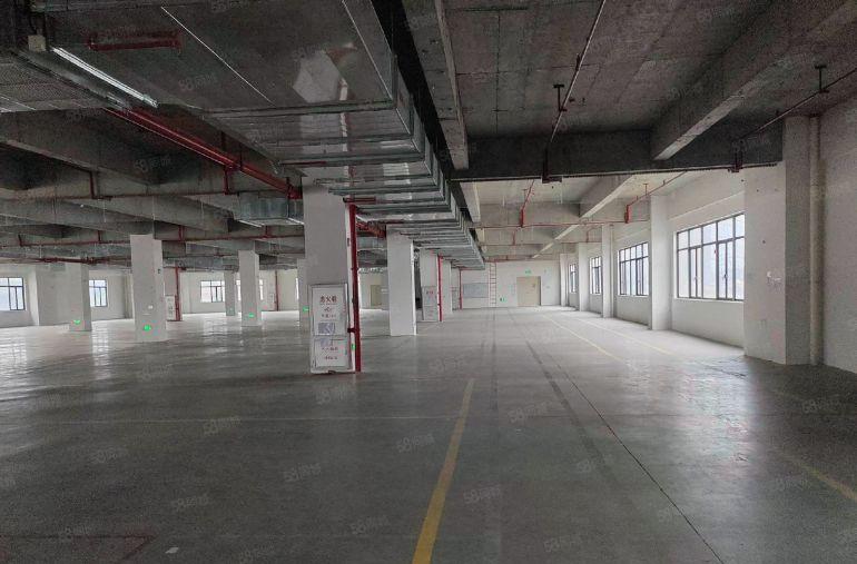 塘厦零公摊  全新原房东独院标准厂房出租50000平方米