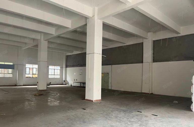 塘厦标准厂房 原房东 好分租