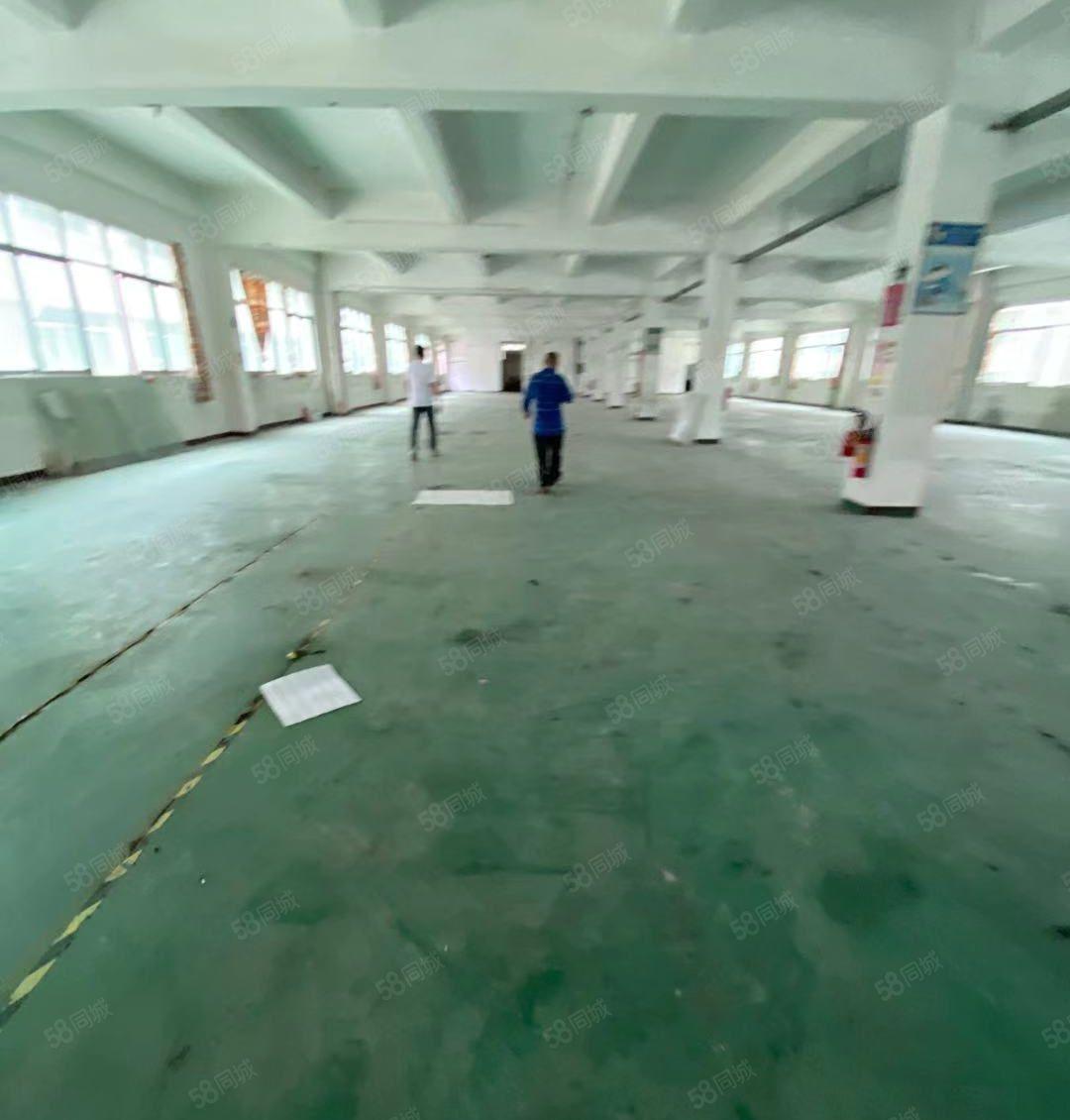 塘厦石潭布标准2楼1300平！地坪漆装修