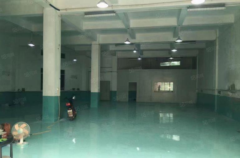 一手房东出租，石鼓一楼480平，8000元，工业园区厂房