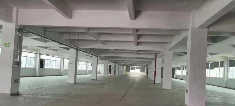 8元甩租！塘厦原房东整层3000平大小可分租厂房仓库出租