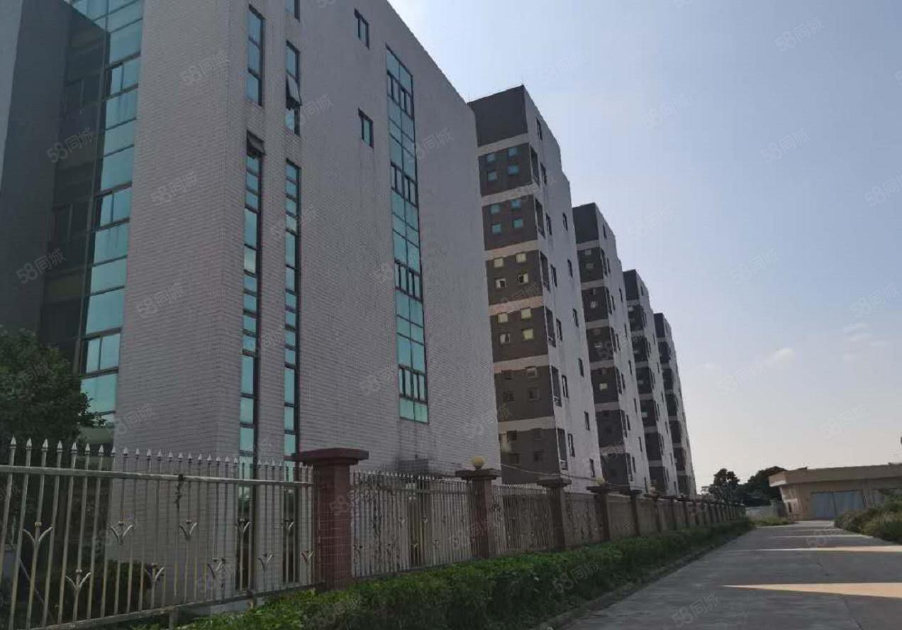 塘厦工业园出租单一层5万平钢构厂房，滴水13米，国有工业用地