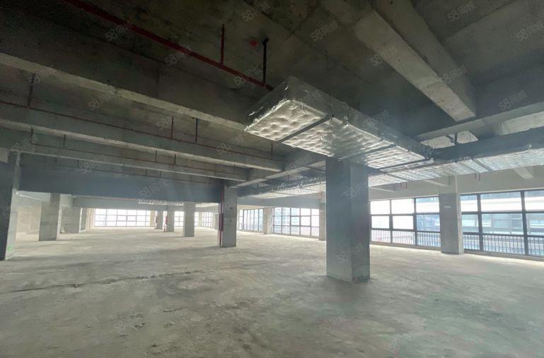 雁田京东智谷 500平至2万平招租 可分租免租长 适合各行业