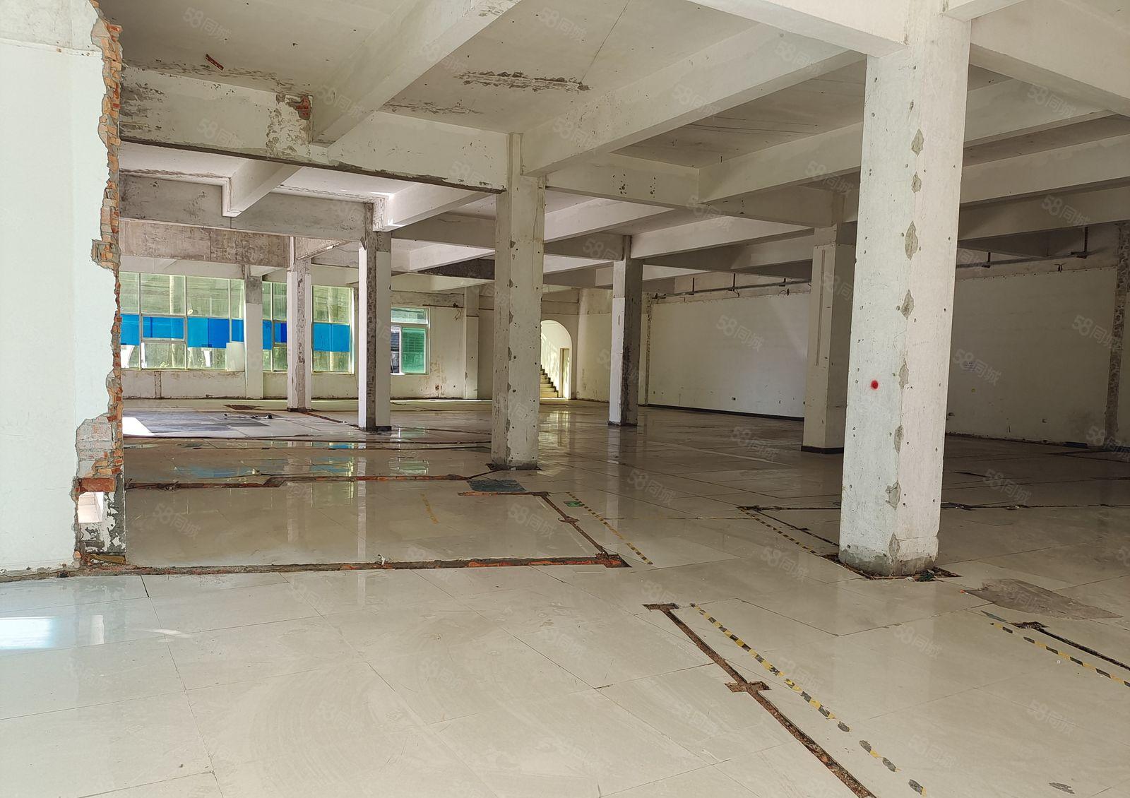 塘厦田心新出一楼800平方，适合各种行业