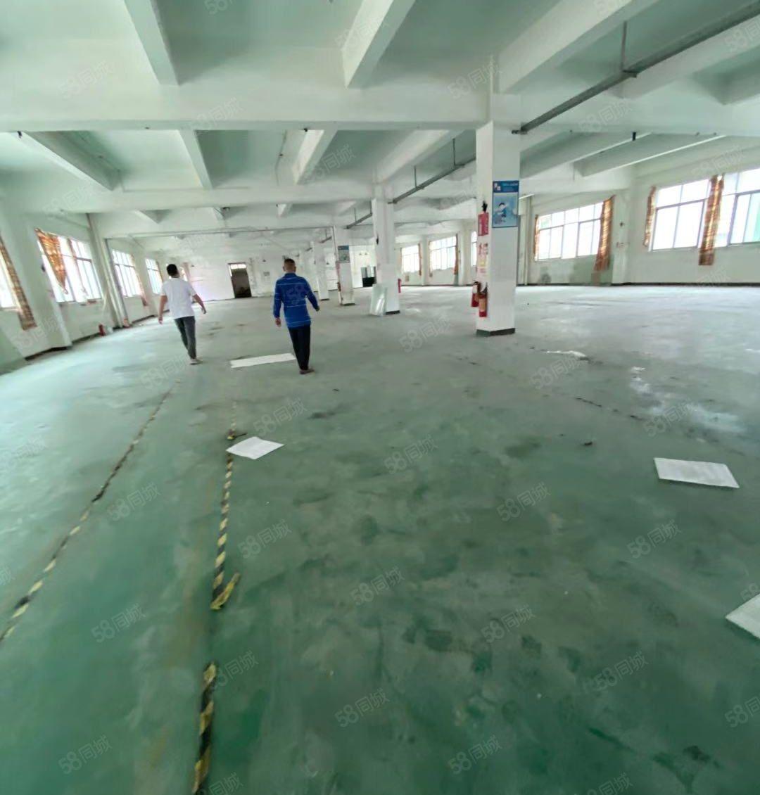 塘厦石潭布标准2楼1300平！地坪漆装修