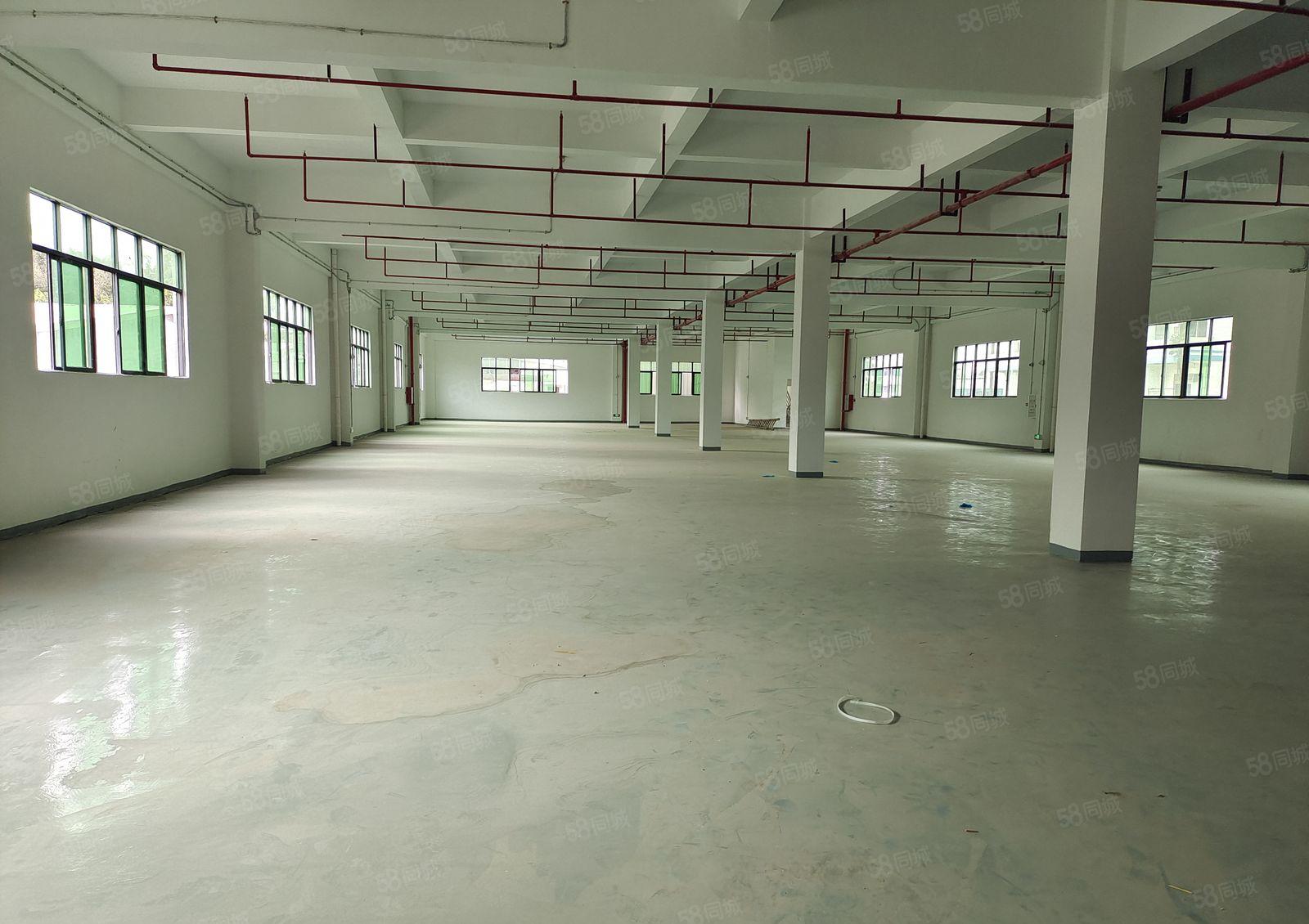 塘厦二楼和三楼各1500平方厂房，靠近深圳