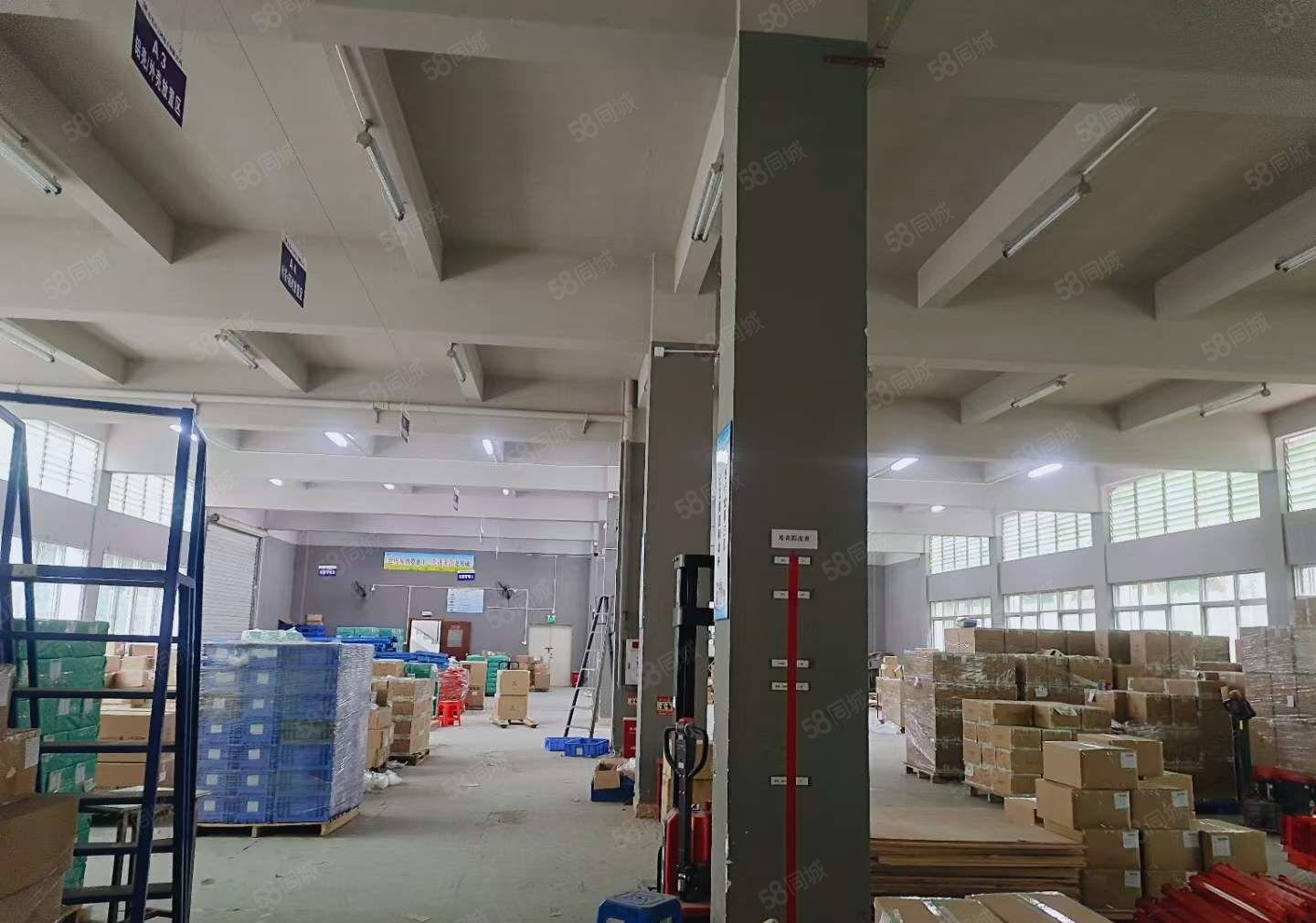 塘厦科苑城 红本独院厂房出租7960平 适塑胶电子玩具五金