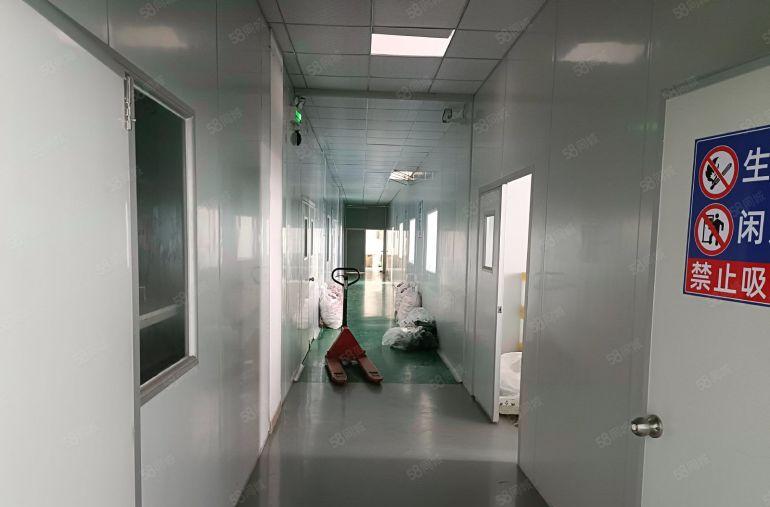 塘厦石潭埔新空出2000平一楼带牛角厂房20招租