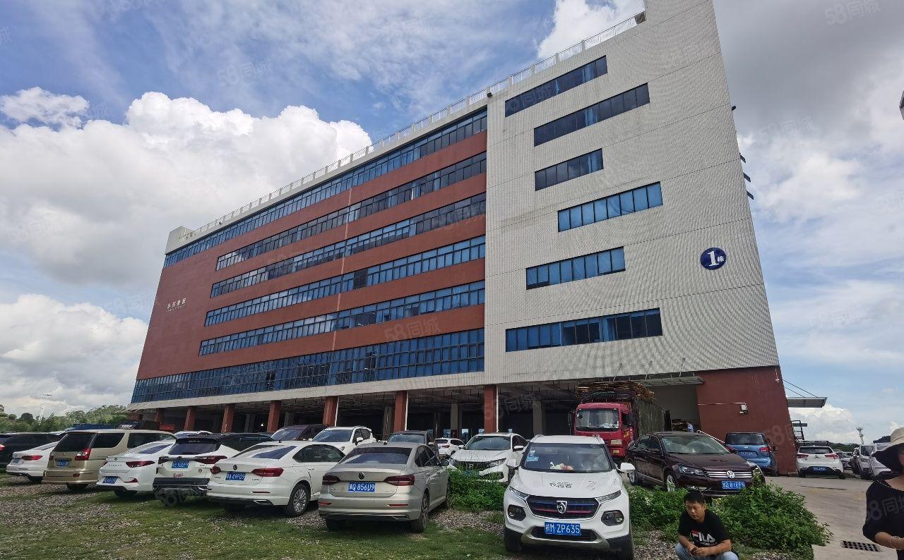 塘厦中心石鼓新出村委楼上4800平厂房仓库出租，形象好空地大