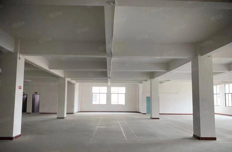 电池可做~塘厦凤凰岗1楼带牛腿带阁楼650平租16块！