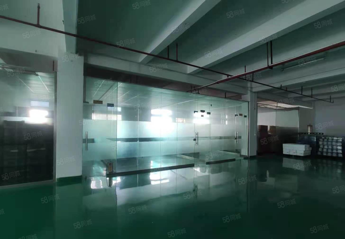 塘厦密集工业区原房东自用厂房分租三楼豪华装修水电到车间现房