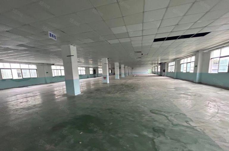 特价9.9元！塘厦田心标准3楼1500平厂房出租，实际面积！