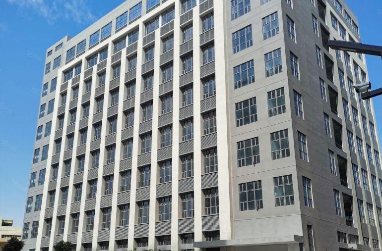 塘厦大坪 G94 高速出口附近原房东红本厂房实际面积低价出租