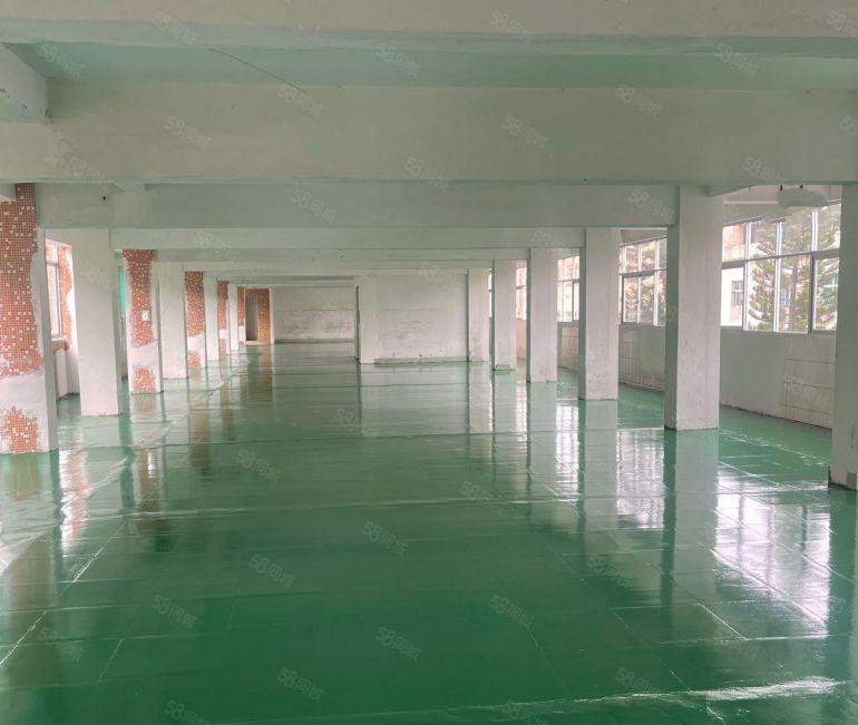 平山靠深圳外环高速口350平起租全新地坪漆带货梯园区配套齐全