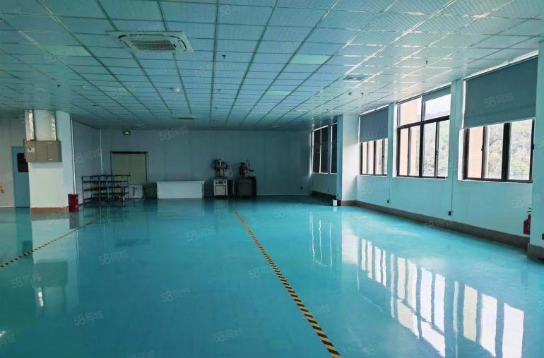 出租特价12.8元楼上600平方零公摊出租位于塘厦林村