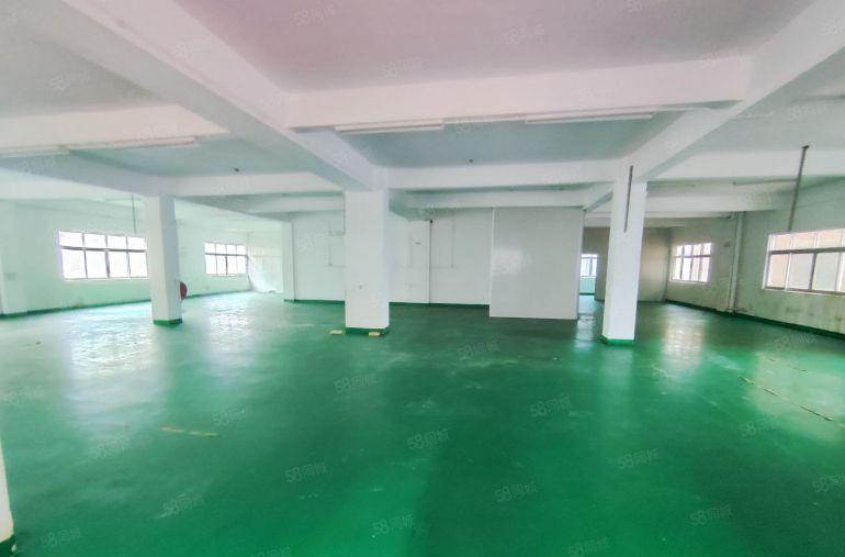 塘厦原房东新出独院两层厂房带现成办公室适合钣金注塑五金设备等