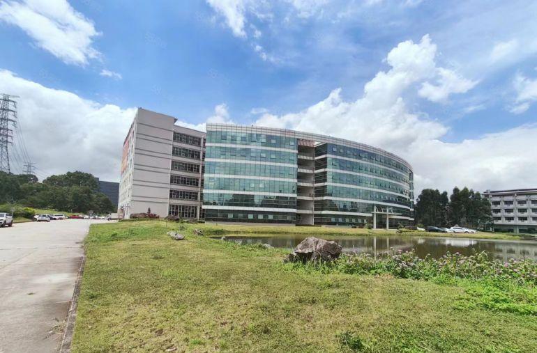 12起租塘厦原房东花园式厂房大小可分租