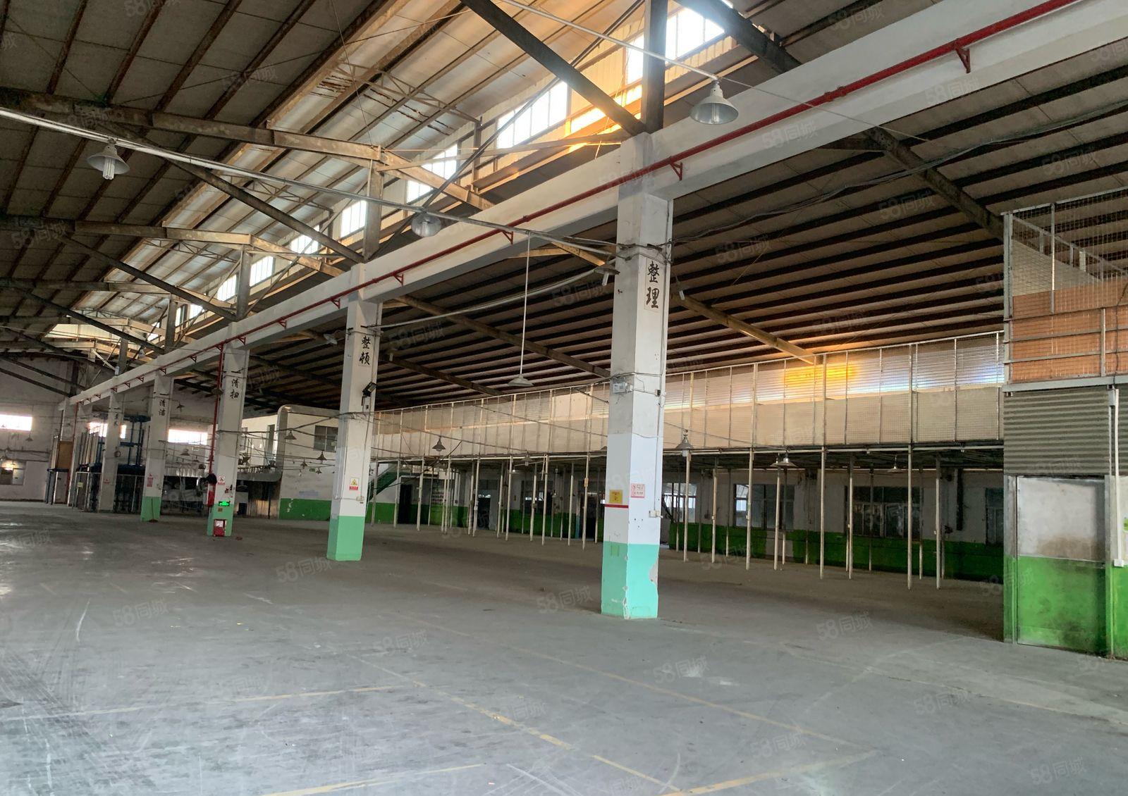 塘厦平山滴水12米高标准钢构独门独院6400平出租