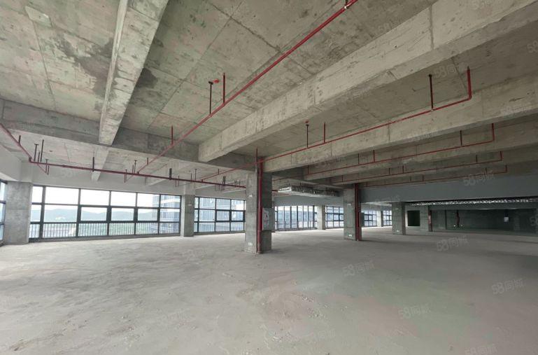 雁田京东智谷 新园区厂房大小面积招租 可做多行业环境好