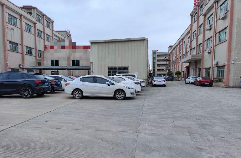 厂房出租塘厦厂房出租，空地大，可做仓库，五金等行业不限