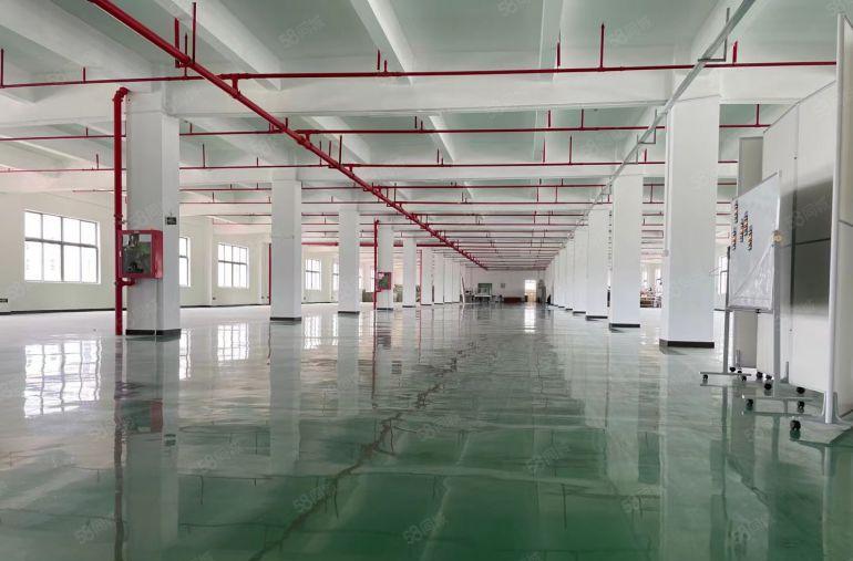 原房东自建厂房独栋8000平，单层面积1000至4000平