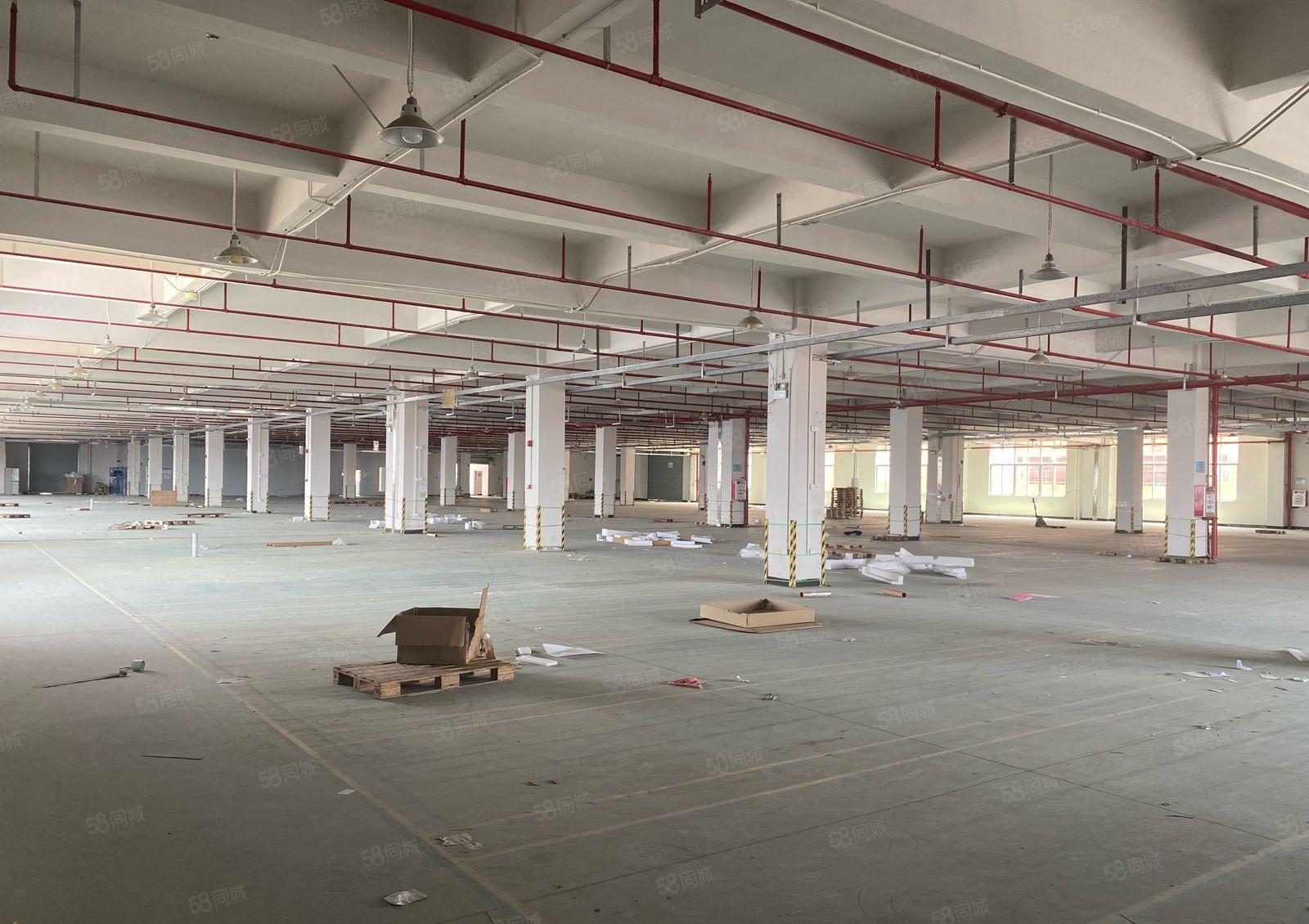 塘厦石鼓原房东实际面积楼上新空出5000平方大小分租空地大