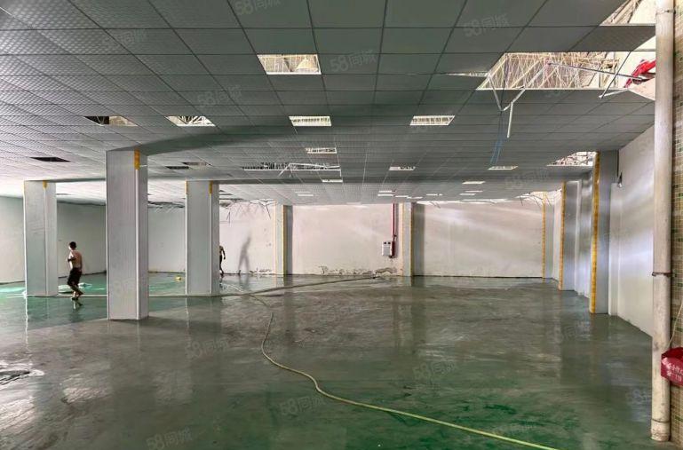 实业客来！塘厦迎宾高速独院一楼厂房带装修1100平出租，高6