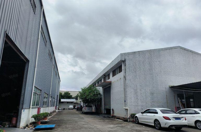 塘厦蛟乙塘钢构独院3180平方，10米高带牛角有现成办公室