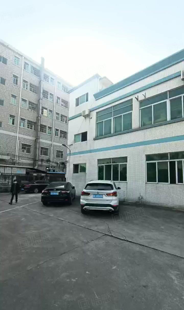 塘厦大坪新出独院厂房12000平出租，标准钢构一起，高速路近