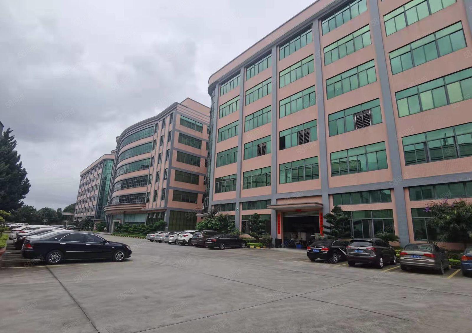 塘厦林村一手房东独栋厂房7500平大小可分无公摊厂房仓库出租