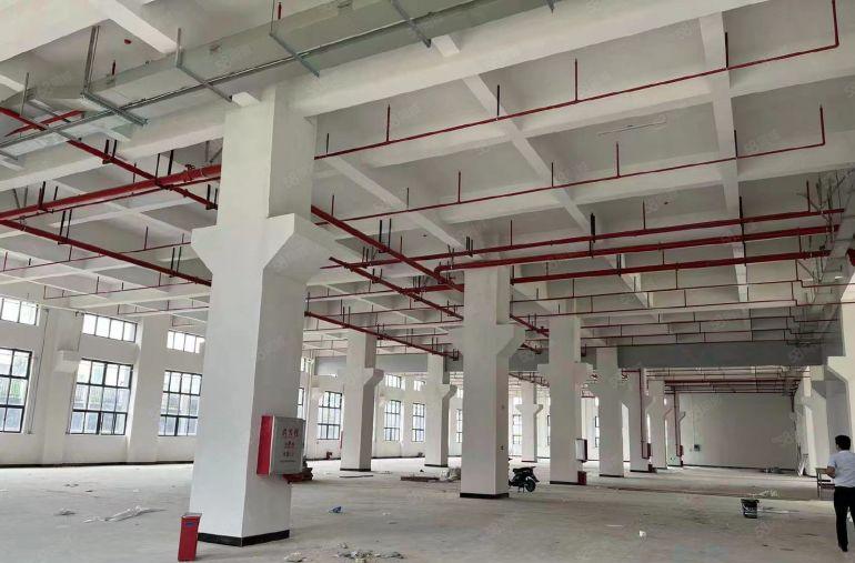 标准厂房出租 可整租 可分租