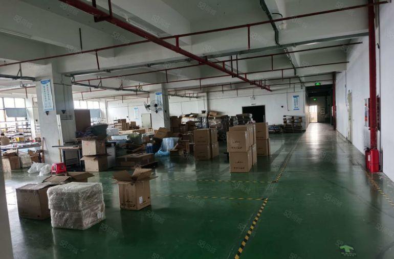 塘厦原房东2000平带装修无转让费厂房仓库拎包出租