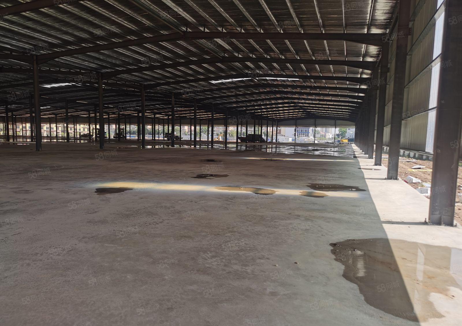 塘厦大坪高速口新建双面卸货平台厂房物流仓库，空地15000平