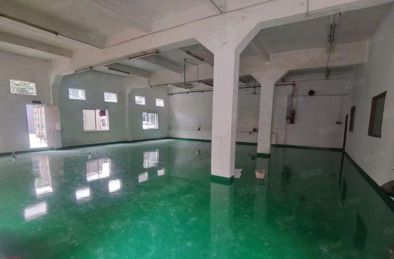 塘厦镇中心工业区原房东一楼厂房0公摊420平，全新地坪漆装修