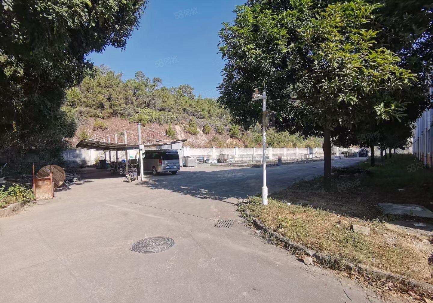 塘厦桥陇东深二线边独院单一层22000平方可分租