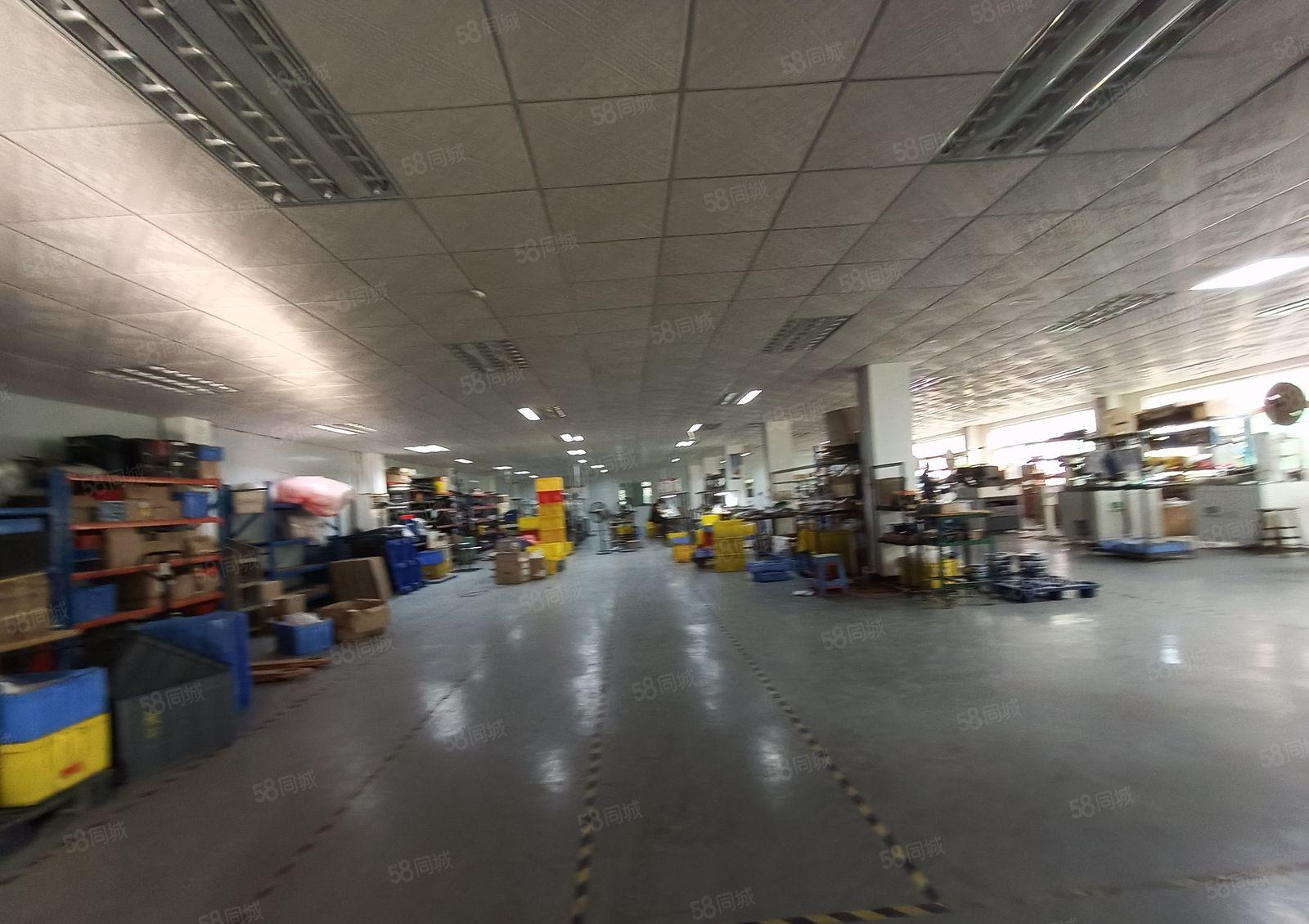 塘厦林村新出楼上1300平带装修，水电齐全，原房东低价甩租！