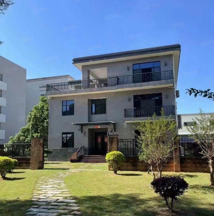 上市形象9元活动价塘厦1000平起分单层面积6666平出租