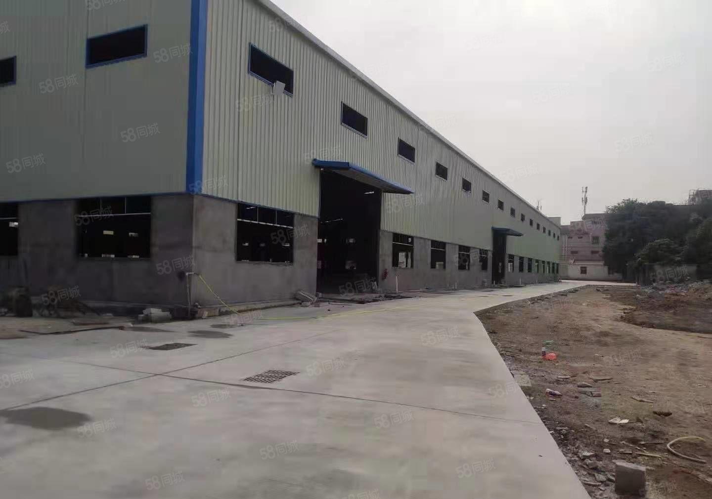 塘厦镇科苑城原房东钢构独院10米高，空地6000平，