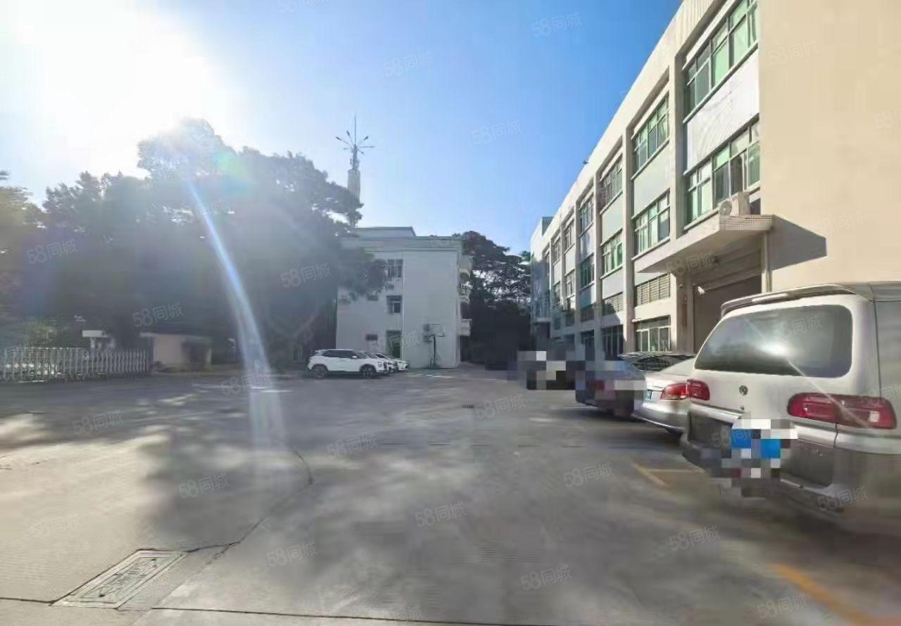 东莞市塘厦镇科苑城新出标准厂房4000平米出租