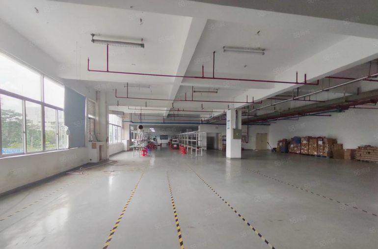 塘厦林村工业园区原房东红本3楼1520平精装修办公室厂房出租