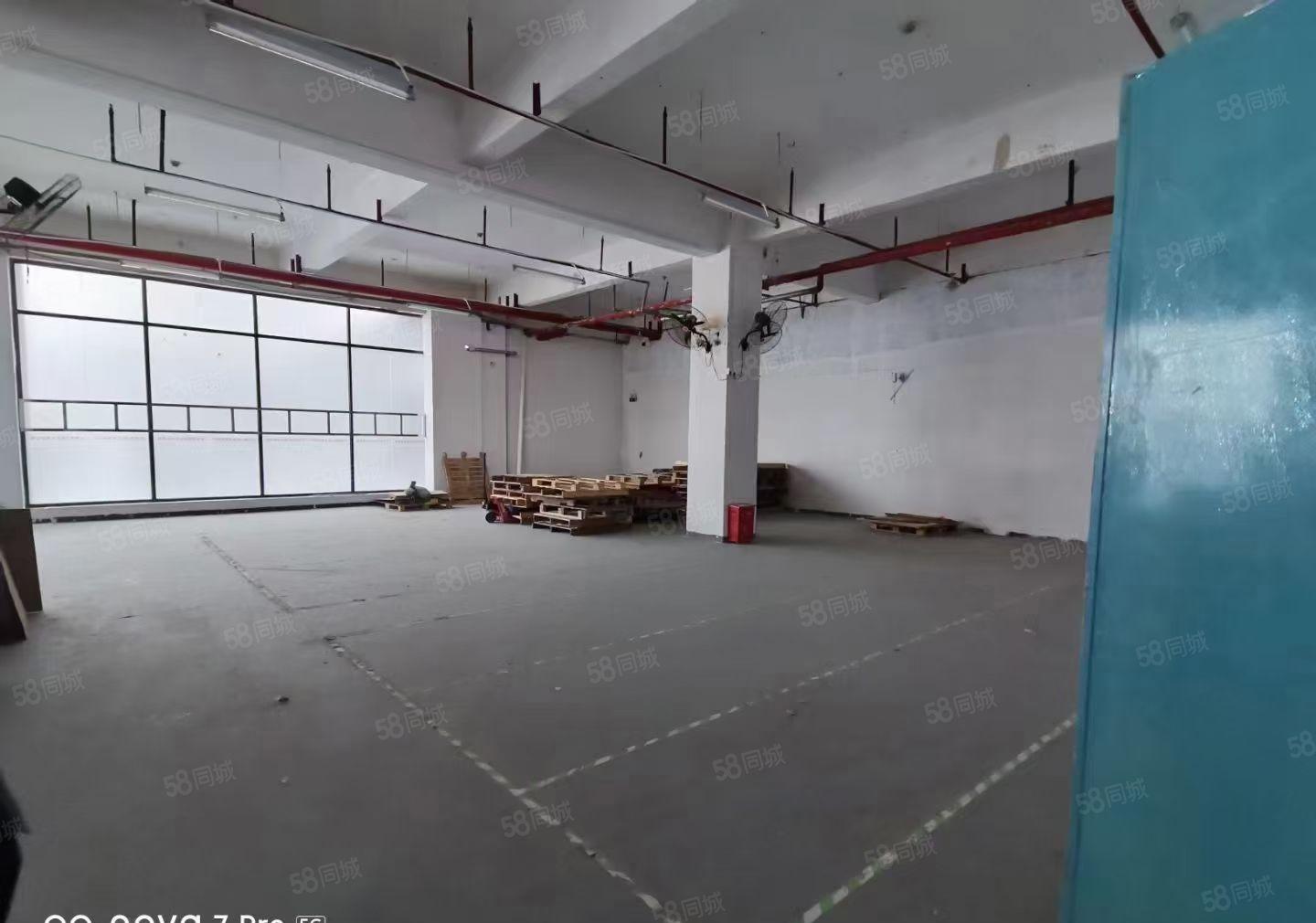 田心原房东一楼300平5800元打包价厂房出租滴水6米易招工