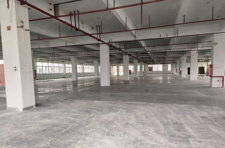 田心全新独院工业园出租标准厂房每层3000平宿舍饭堂配套齐全