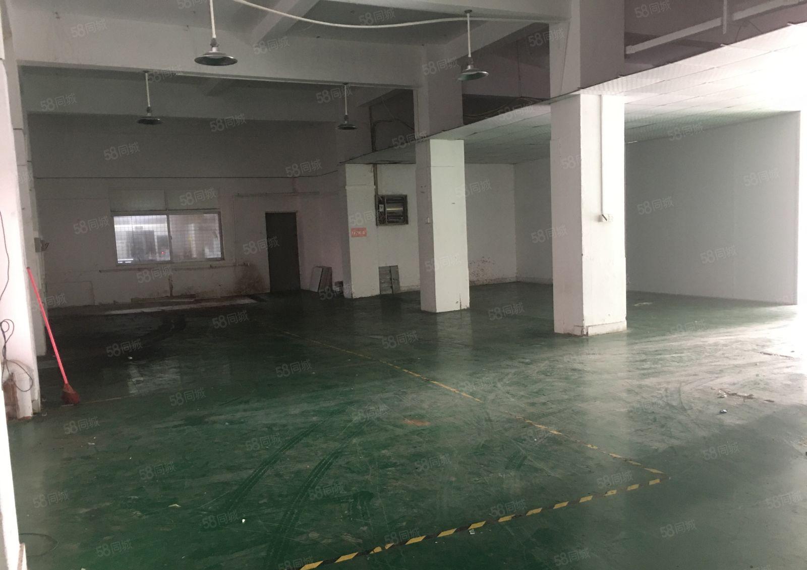 塘厦莲湖新出一楼400平方，带装修