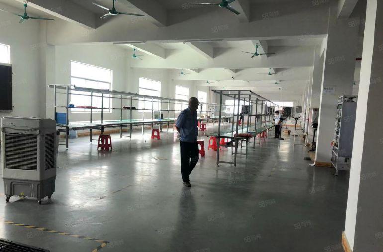 0公摊塘厦全新豪华装修楼上980平方