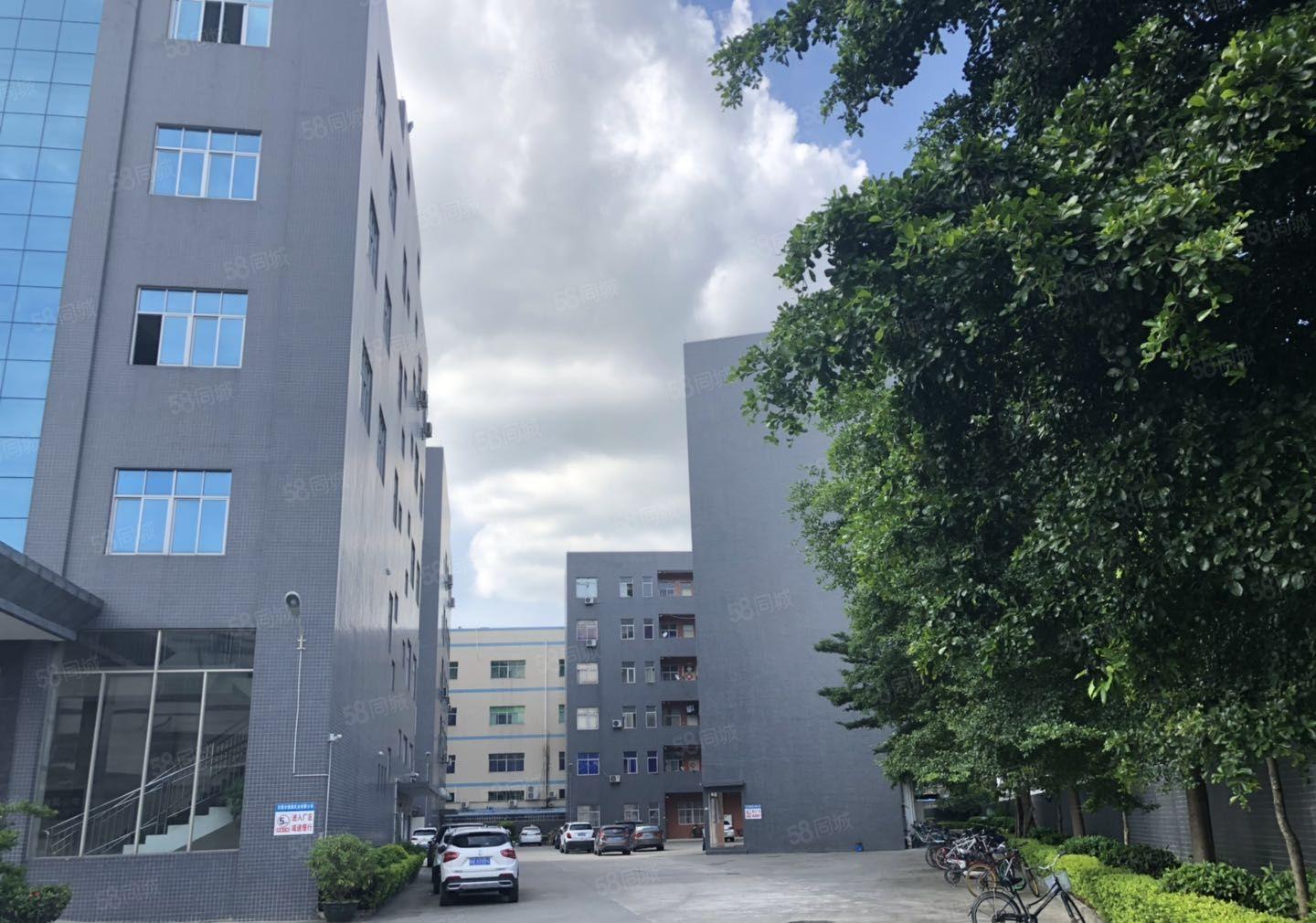 塘厦沙湖一手房东独院12000平方带装修大小可分厂房仓库出租