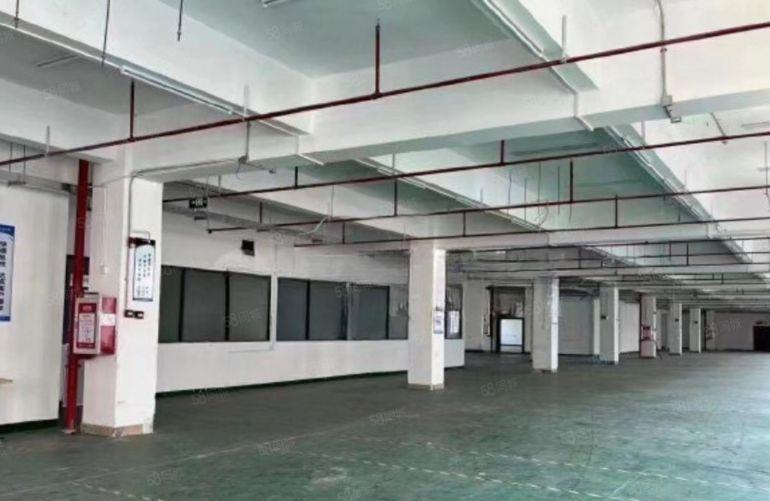 沙湖花园式红本厂房出租1500平2楼，证件齐全，可办环评