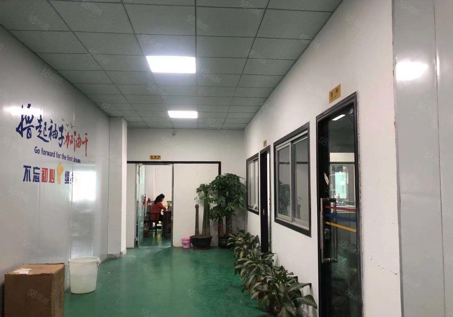 报价20元现成装修，随时可以空出，石鼓新出楼上480平方厂房