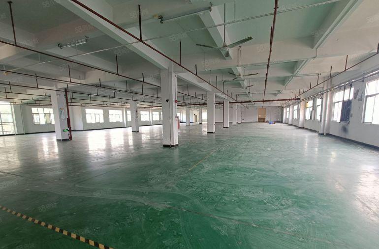 塘厦沙湖整层2300平面积灵活分租带红本低价出租，二次消防