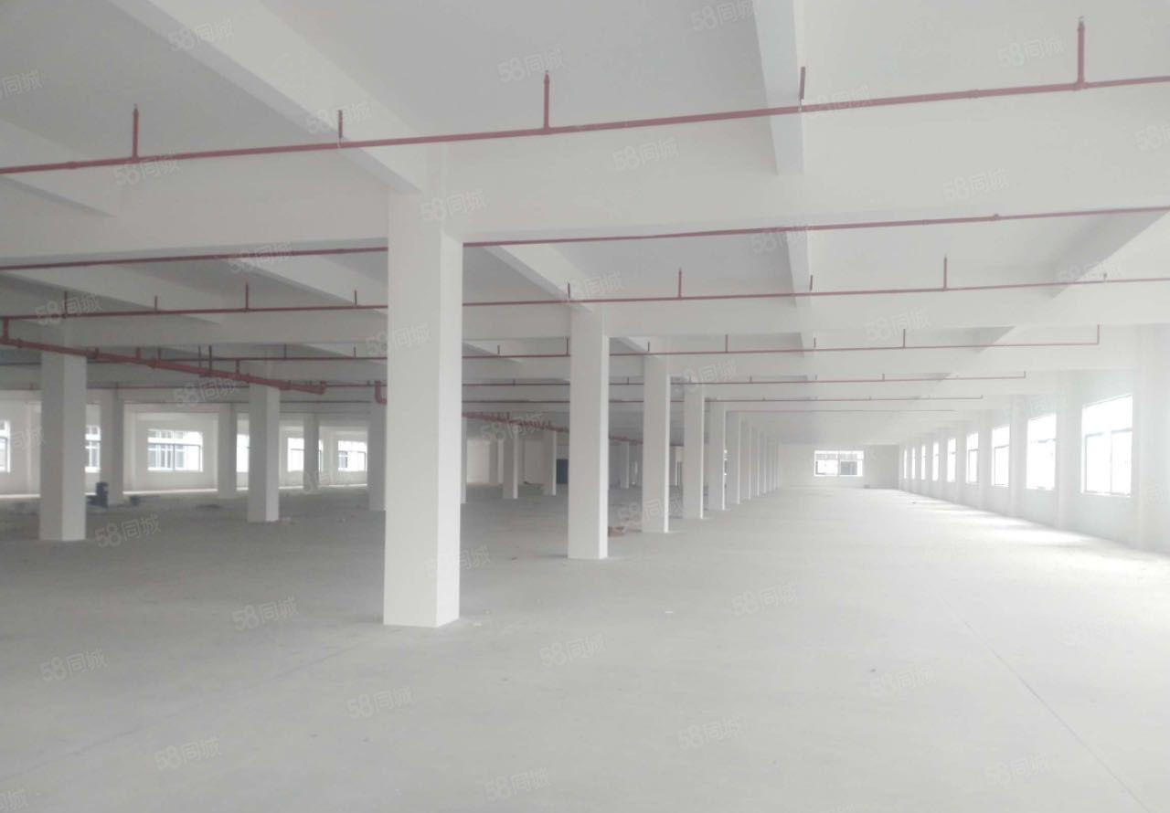 东莞塘厦外环高速口2万平米全新红本独院厂房出租一楼7.2米高